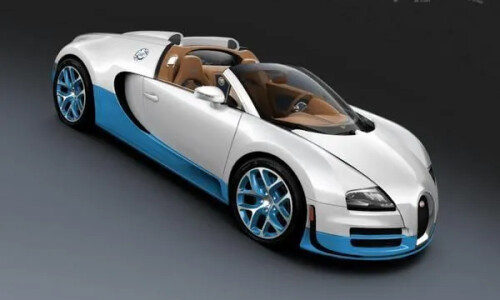 Bugatti Veyron Grand Sport Vitesse #11