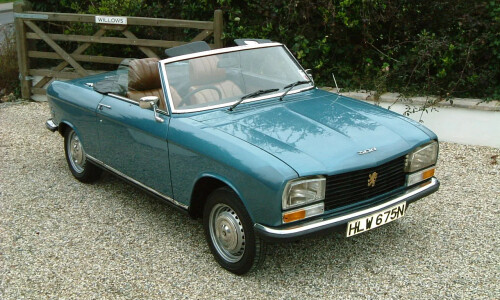 Peugeot 304 #3