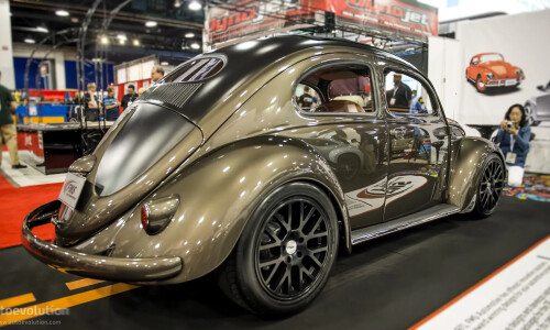VW Beetle #10