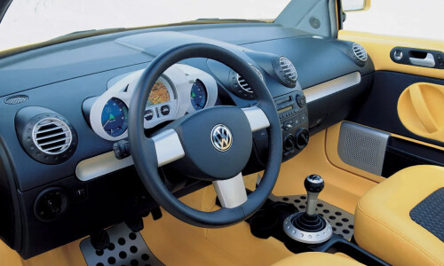 VW New Beetle #3
