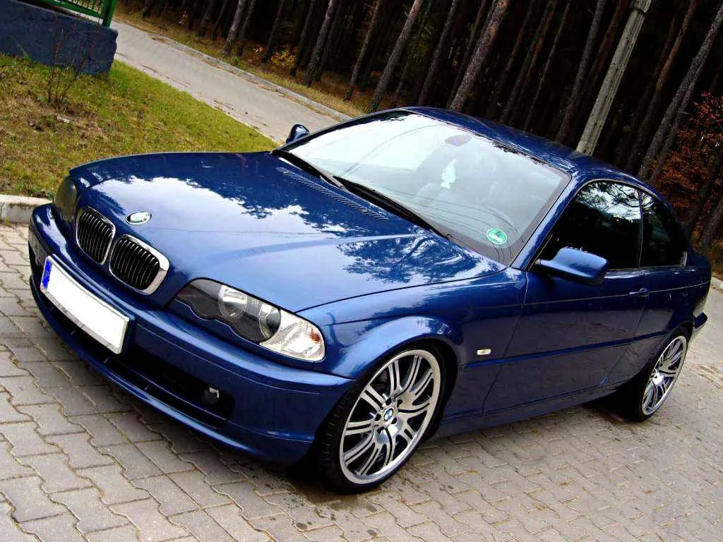 Bmw 318i image 5