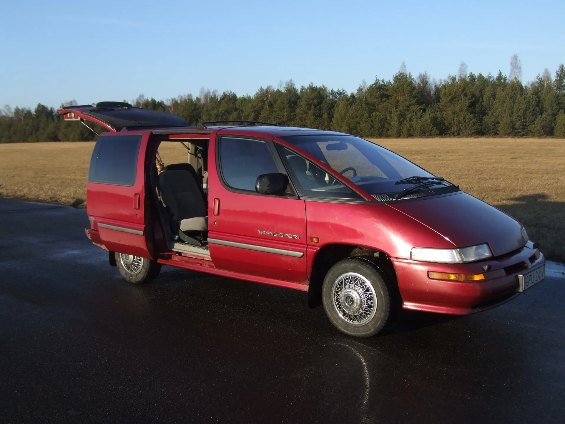 Pontiac Trans Sport image 2