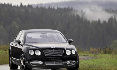 Bentley Continental Flying Spur #11