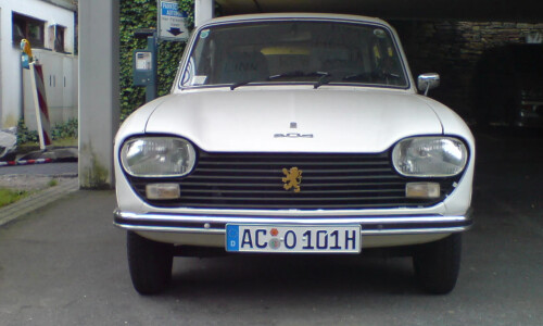 Peugeot 204 #5