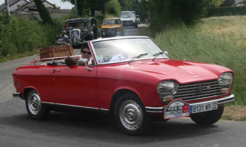 Peugeot 204 #12