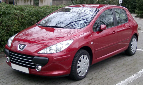 Peugeot 307 #2